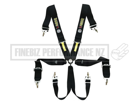 FIA APPROVED MONZA 6 POINT RACING HARNESS - EXP 2026